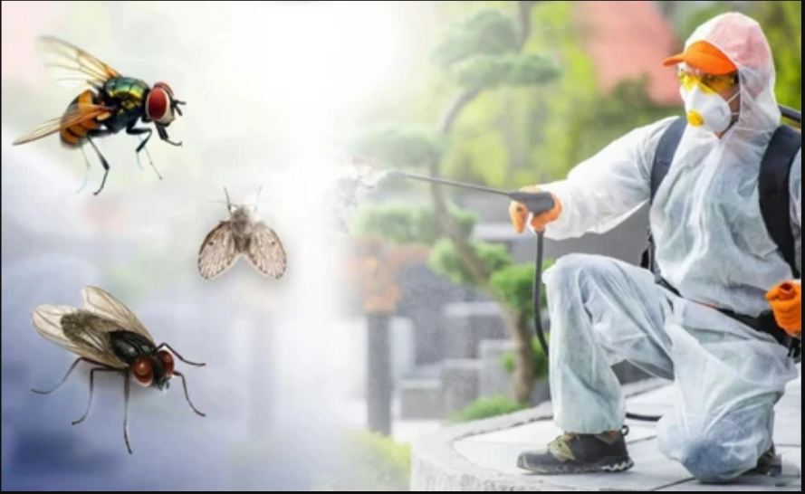 Fly Control Service
